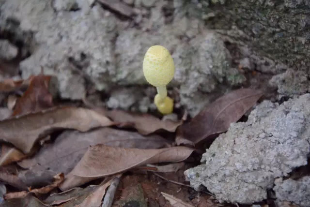 亮閣門窗|青春不朽，勇攀高峰；不登將軍亭，枉游北嶺山。